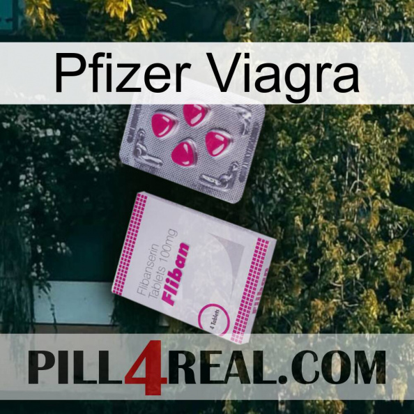 Pfizer Viagra 32
